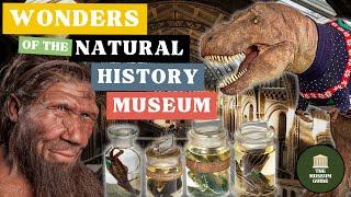 The Wonders of London's Natural History Museum - An In-Depth Guided Tour