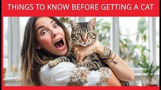 Your Cat Adoption Checklist: 15 Must-Know Tips | Cats Care