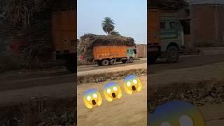 hare ka shara baba khatu shyam hamara jay shree ram jay hanuman #viral #love #vlog #dog #tractor