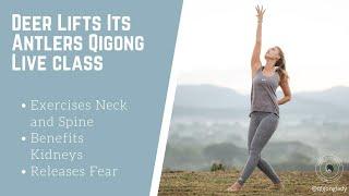 Deer Qigong Live Class | QigongLady