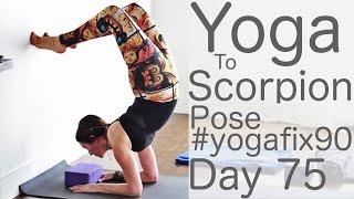 30 Minute Yoga Flow Vinyasa (to Scorpion pose) Day 75 Yoga Fix 90 | Fightmaster Yoga Videos