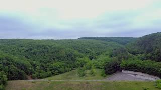 Forest on a cloudy day - DJI Mavic Mini