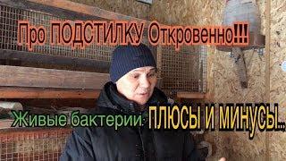 Про  Несменяемую ПОДСТИЛКУ Откровенно!!! Живые бактерии: плюсы и минусы!!!