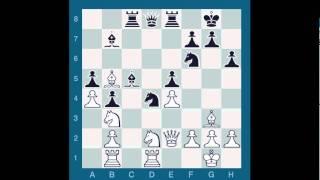 ChessMaster GME: Zlotnikov, M. Vs Waitzkin J.