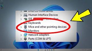 Fix Mice and Other Pointing Devices missing from Device Manager in windows 11 / 10 ️