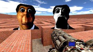 OBUNGA CHASES US IN THE LABYRINTH, OBUNGA NEXTBOT Garry's Mod