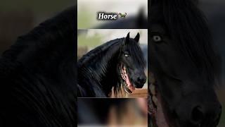 Skinwalker disguised as animals  #scary #animals