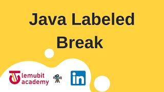 How to break out of a nested loop in Java (Labeled Break)