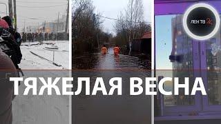 Топор в окно соседу | Река топит Тихвин | Сигаретную банду поймали? | Вывезли бизнесмена в лес