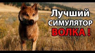 Лучший в мире симулятор ВОЛКА !