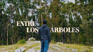 Mar de Copas - Entre los Árboles (Video Oficial)