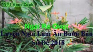 #vietnamxanh,#0933288797 Luyện Ngải Làm ăn Buôn Bán Cầu Tài Lộc 2018