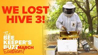 Comparing Five Bee Hives - 4 Treated 1 Left to Nature