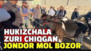 BUXORO JONDOR MOL BOZOR/ 01.09.2024/YOSH HUKIZCHALA ZURI CHIQGAN