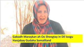 Haweenay Maraykan ah Oo Sheegtay in Dil loogu Hanjabay Gudaha Somaliland