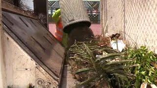 National City Manual Green Waste Collection