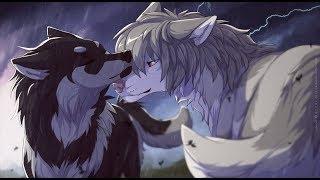 Anime wolves Til my heart stops