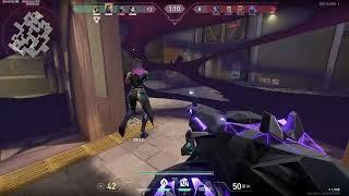 and we lost | Born creator clips
