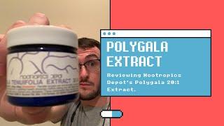 Polygala 20:1 Extract From Nootropics Depot | Best Nootropic For Energy & Motivation?