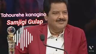 Tahourehe kanagino#Udit Narayan#Manipuri Romantic song#Nita production 7