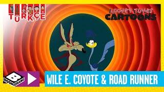 SEVİMLİ KAHRAMANLAR HİKAYELER | Wile E. Coyote ve Road Runner | Boomerang TV Türkiye