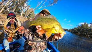 Giant Yellowbelly & Crayfish From The Goulburn River!