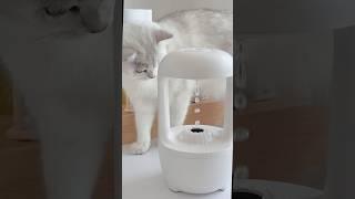 The coolest humidifier  #unboxing #techvideos #humidifer #tech #gadgets