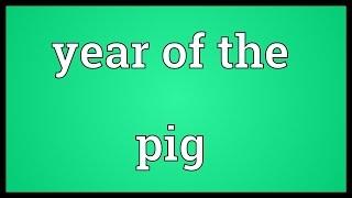 Year of the pig Meaning