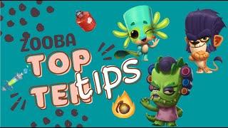 Top Ten Zooba Tips!