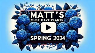 Matt's Top Plants for Spring Color