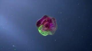 Flow Cytometry Animation