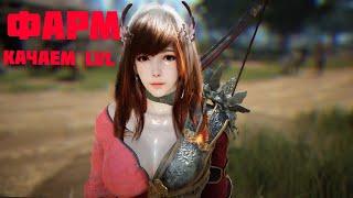 Black Desert Online Камасильвия