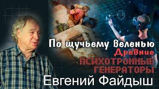 По щучьему веленью! или Древние психотронные генераторы. Е.А.Файдыш, лекция в Петербурге 02.12.2023