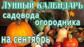 ЛУННЫЙ КАЛЕНДАРЬ САДОВОДА И ОГОРОДНИКА НА СЕНТЯБРЬ МЕСЯЦ