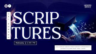 RCCG THE OASIS - SEARCH THE SCRIPTURES - JANUARY 15, 2025