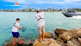 Fisherman's Dream Fish Caught At This Jetty!