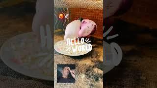 #hindisong #song #bollywoodsongs #pigeon #kabootarba #kabutar #kabootarloft05 #kabootar #love