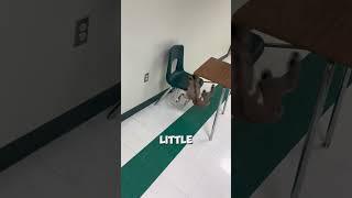 This goat went to school ️ #shorts