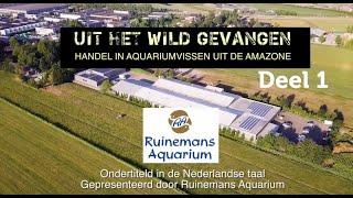 Uit het wild gevangen, deel 1/10