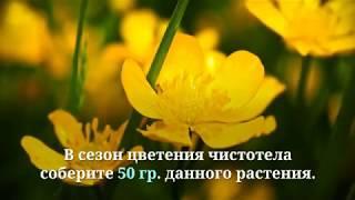 ▶️Травы для суставов: растения от болей и воспаления, рецепты