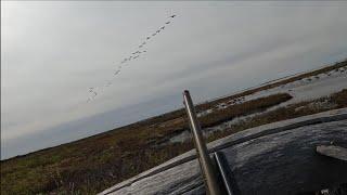 Spring Goose Hunt 2025, In Eastern James Bay