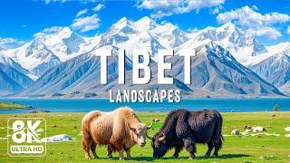 Tibet 8K UHD - Journey To Discover The Roof Of The World: Land Of Buddha