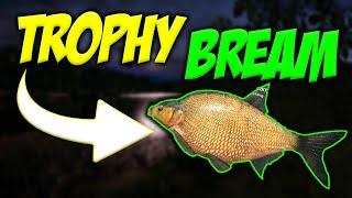 Russian Fishing 4 - BIG TROPHY BREAM SPOT ON MOSQUITO LAKE (BEST BAIT & SPOT)