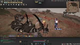 Black Desert Online Succession Dosa DSR DarkSeeker's 25300 trash per/h Combo guide and Addons