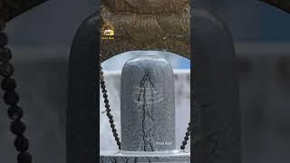 Hara Hara Mahadeva - Sivan illam #devotional #sivan #sivayanama #king