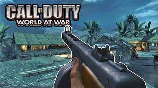 Blessing my PPSH - World At War 2024 (COD WAW)