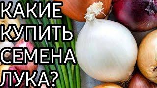 СЕМЕНА ЛУКА / КАКИЕ КУПИТЬ СЕМЕНА ЛУКА?