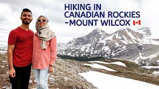 HIKING IN CANADIAN ROCKIES - MOUNT WILCOX | ICEFIELD PARKWAY | CANADA