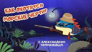 "Как охотятся морские черти?" Познавательная программа с Александром Толмачевым