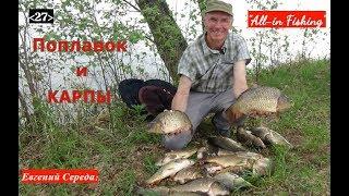 Поплавок и карпы. "All-in Fishing". Вып. 27.